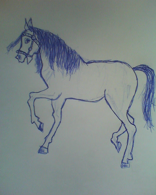 rysunek konia, jak narysować konia