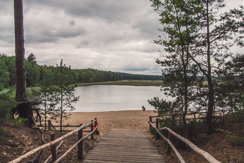 stawy echo zwierzyniec plaża