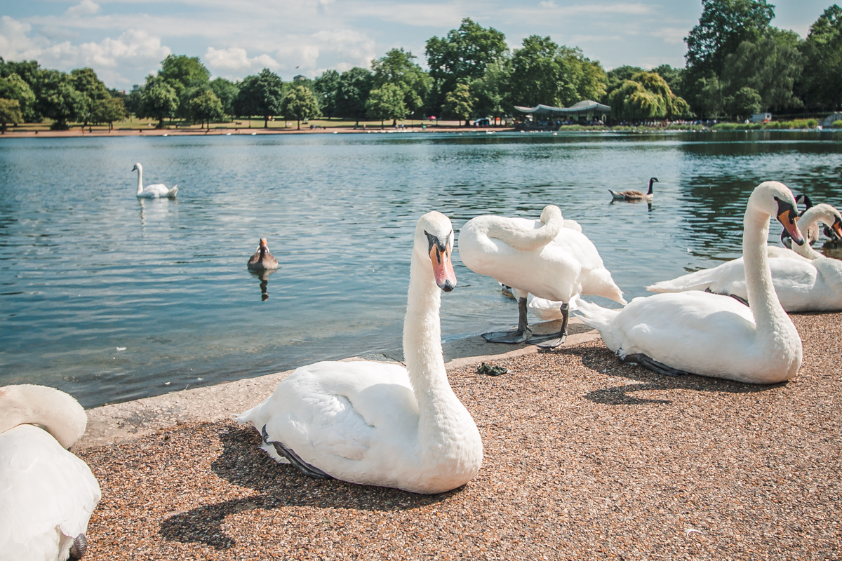 najpiękniejsze parki w londynie