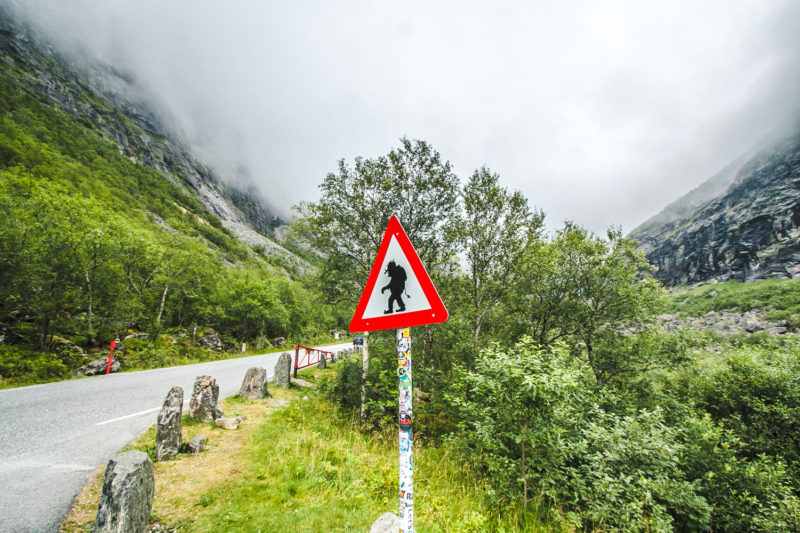 droga trolli atrakcje norwegii