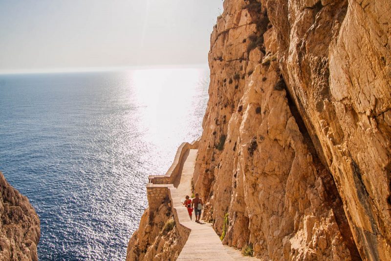 jasnikia neptuna na sardynii